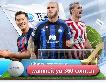 完美体育 APP(WANMEISPORTS)