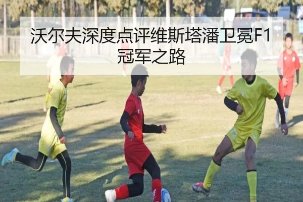 沃尔夫深度点评维斯塔潘卫冕F1冠军之路